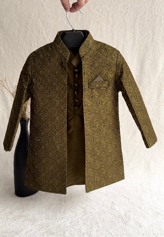Mehandi Embroidered Sherwani Suit (101)