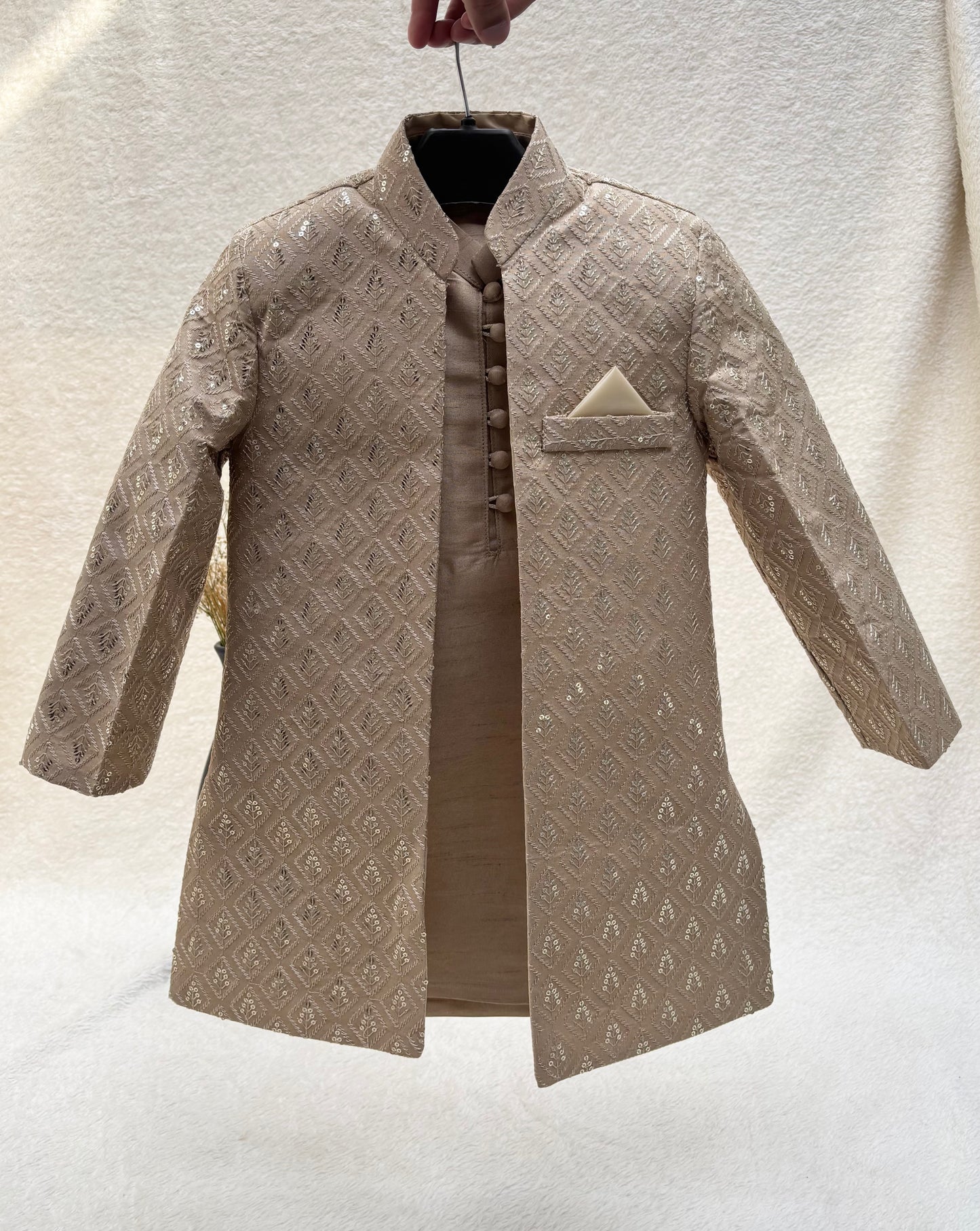 Beige Embroidered Sherwani Suit (104)